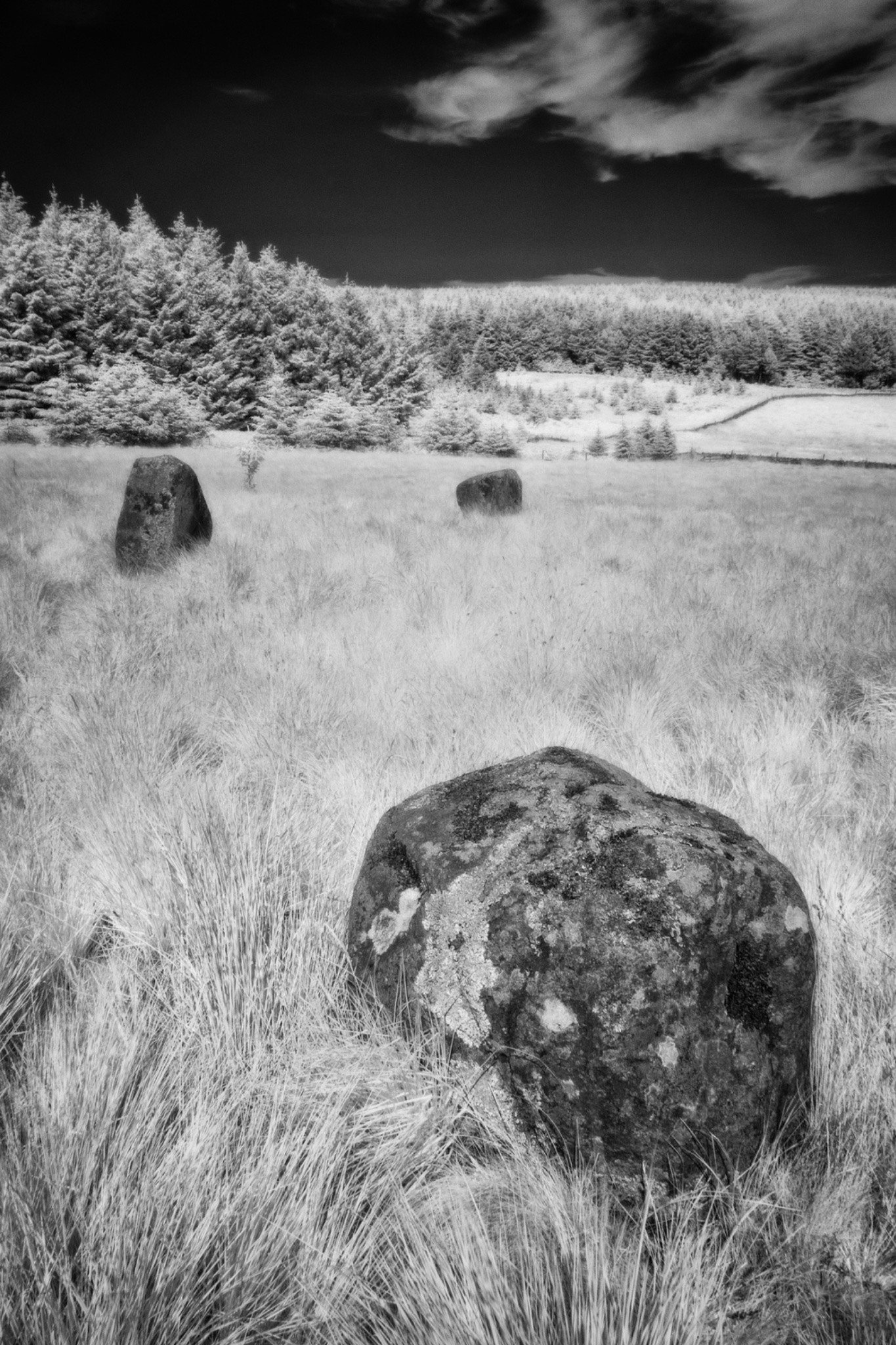 Threestoneburn Stone Circle, Northumberland, England.